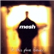 Mesh - In This Place Forever